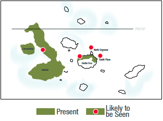 Land Iguana Map