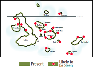 Marine Iguana Map