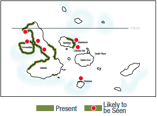 Galapagos Penguin Map