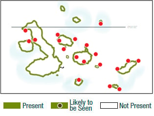 Map Sea Lion Galapagos