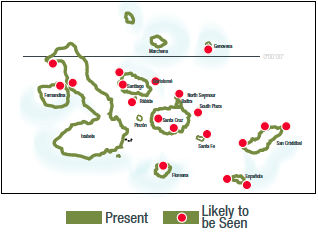 Galapagos Sea Lion Map