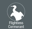 Fligtless Galapagos Cormorant