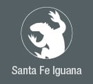 Santa Fe Land Iguana